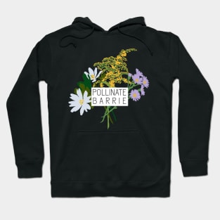 Pollinate Barrie Logo Hoodie